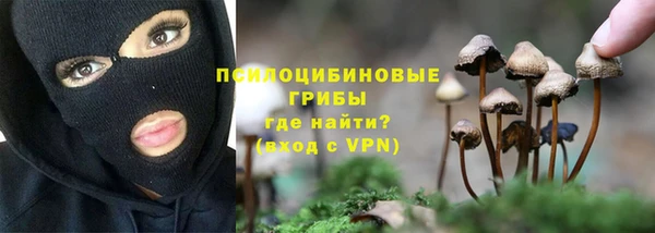 МДПВ Богданович