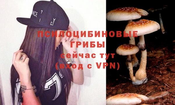 каннабис Богородицк