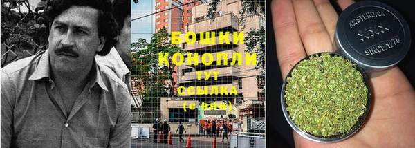 стаф Бугульма