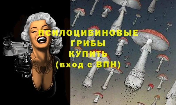 мет Бронницы
